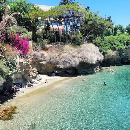 Miros Garden In 50m From The * Agia Pelagia (Creta)