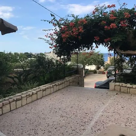 Miros Garden In 50m From The